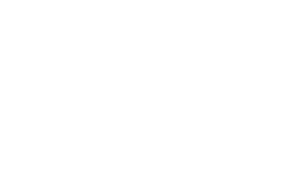 Team HAUS