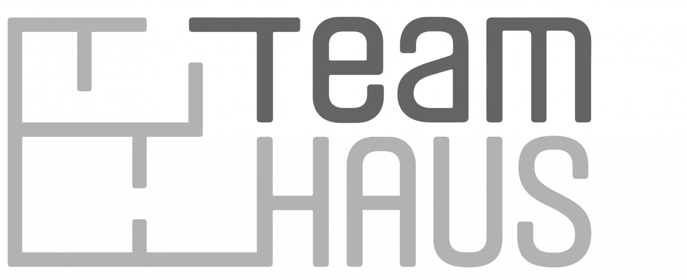 Team HAUS